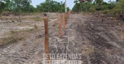 Fazensa à Venda 1.500 A lqueirões Soja e Logística c/ Dupla Aptidão | Região do Xingú / PA Fazensa à Venda 1.500 A lqueirões Soja e Logística c/ Dupla Aptidão | Região do Xingú / PA