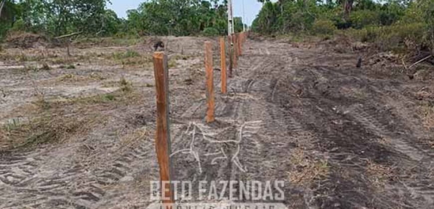 Fazensa à Venda 1.500 A lqueirões Soja e Logística c/ Dupla Aptidão | Região do Xingú / PA Fazensa à Venda 1.500 A lqueirões Soja e Logística c/ Dupla Aptidão | Região do Xingú / PA