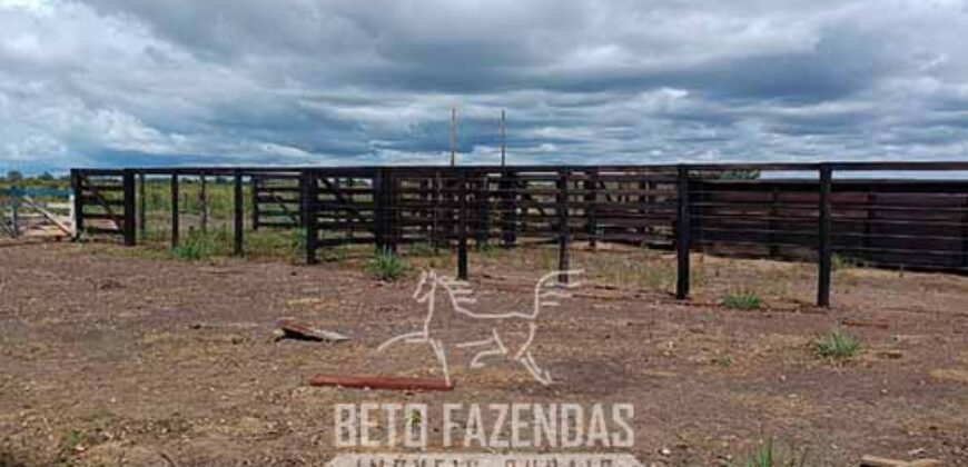 Fazensa à Venda 1.500 A lqueirões Soja e Logística c/ Dupla Aptidão | Região do Xingú / PA Fazensa à Venda 1.500 A lqueirões Soja e Logística c/ Dupla Aptidão | Região do Xingú / PA