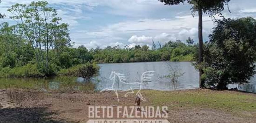 Fazensa à Venda 1.500 A lqueirões Soja e Logística c/ Dupla Aptidão | Região do Xingú / PA Fazensa à Venda 1.500 A lqueirões Soja e Logística c/ Dupla Aptidão | Região do Xingú / PA