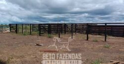 Fazensa à Venda 1.500 A lqueirões Soja e Logística c/ Dupla Aptidão | Região do Xingú / PA Fazensa à Venda 1.500 A lqueirões Soja e Logística c/ Dupla Aptidão | Região do Xingú / PA