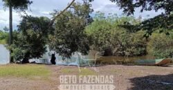 Fazensa à Venda 1.500 A lqueirões Soja e Logística c/ Dupla Aptidão | Região do Xingú / PA Fazensa à Venda 1.500 A lqueirões Soja e Logística c/ Dupla Aptidão | Região do Xingú / PA