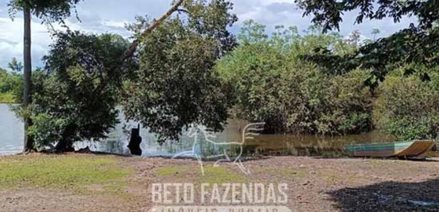 Fazensa à Venda 1.500 A lqueirões Soja e Logística c/ Dupla Aptidão | Região do Xingú / PA Fazensa à Venda 1.500 A lqueirões Soja e Logística c/ Dupla Aptidão | Região do Xingú / PA