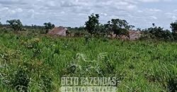 Fazensa à Venda 1.500 A lqueirões Soja e Logística c/ Dupla Aptidão | Região do Xingú / PA Fazensa à Venda 1.500 A lqueirões Soja e Logística c/ Dupla Aptidão | Região do Xingú / PA