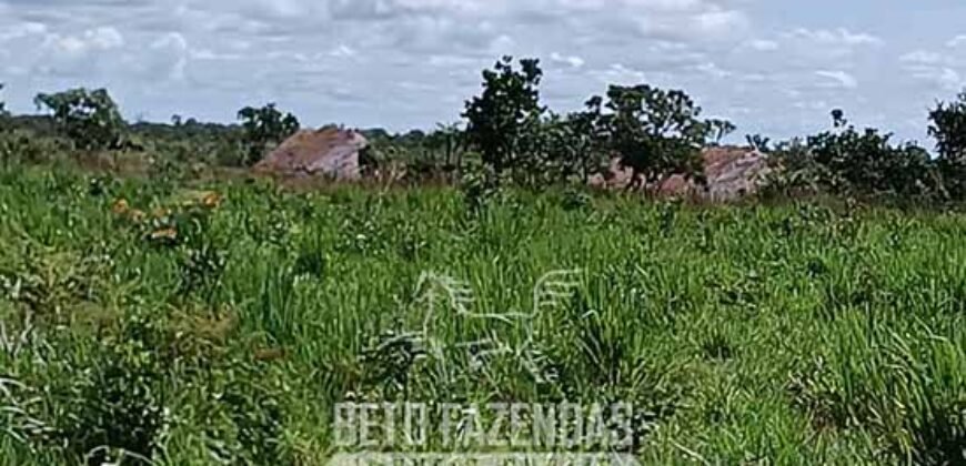 Fazensa à Venda 1.500 A lqueirões Soja e Logística c/ Dupla Aptidão | Região do Xingú / PA Fazensa à Venda 1.500 A lqueirões Soja e Logística c/ Dupla Aptidão | Região do Xingú / PA