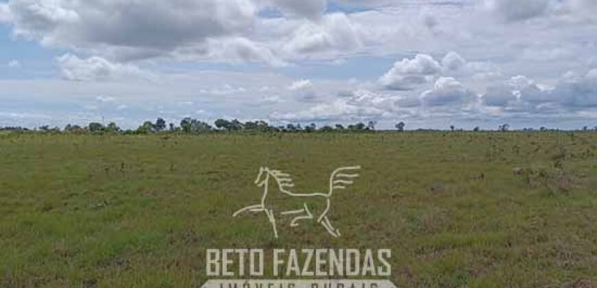 Fazensa à Venda 1.500 A lqueirões Soja e Logística c/ Dupla Aptidão | Região do Xingú / PA Fazensa à Venda 1.500 A lqueirões Soja e Logística c/ Dupla Aptidão | Região do Xingú / PA