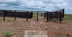 Fazensa à Venda 1.500 A lqueirões Soja e Logística c/ Dupla Aptidão | Região do Xingú / PA Fazensa à Venda 1.500 A lqueirões Soja e Logística c/ Dupla Aptidão | Região do Xingú / PA