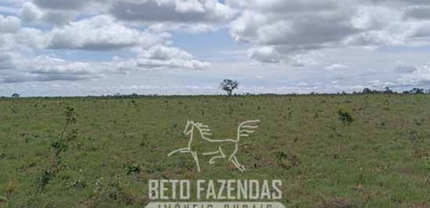Fazensa à Venda 1.500 A lqueirões Soja e Logística c/ Dupla Aptidão | Região do Xingú / PA Fazensa à Venda 1.500 A lqueirões Soja e Logística c/ Dupla Aptidão | Região do Xingú / PA