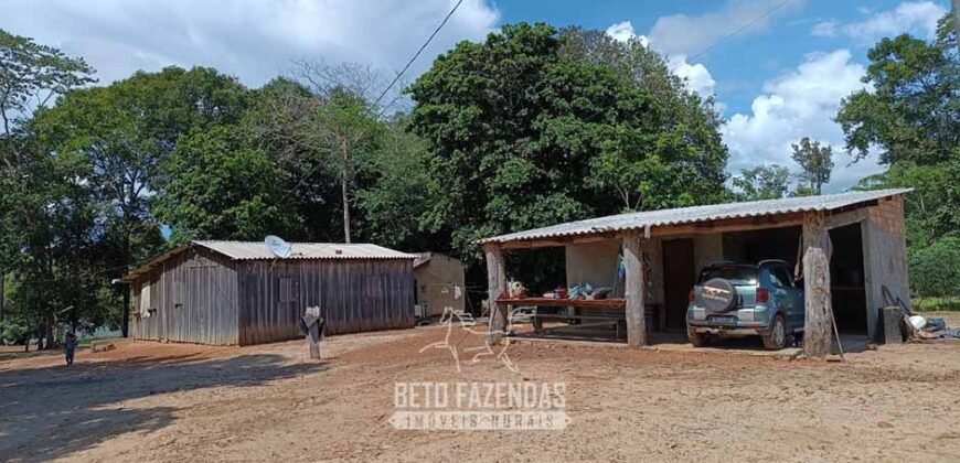 Fazensa à Venda 1.500 A lqueirões Soja e Logística c/ Dupla Aptidão | Região do Xingú / PA Fazensa à Venda 1.500 A lqueirões Soja e Logística c/ Dupla Aptidão | Região do Xingú / PA