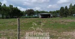 Fazensa à Venda 1.500 A lqueirões Soja e Logística c/ Dupla Aptidão | Região do Xingú / PA Fazensa à Venda 1.500 A lqueirões Soja e Logística c/ Dupla Aptidão | Região do Xingú / PA