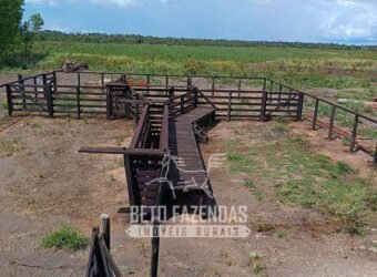 Fazensa à Venda 1.500 A lqueirões Soja e Logística c/ Dupla Aptidão | Região do Xingú / PA