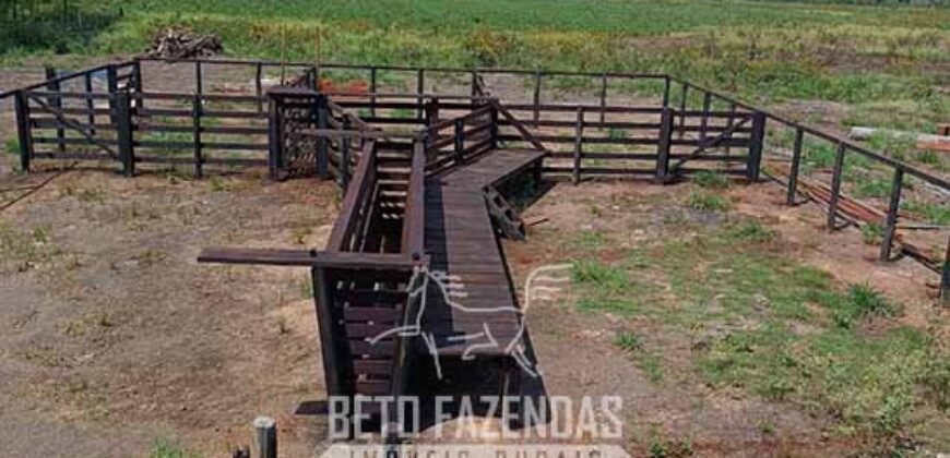 Fazensa à Venda 1.500 A lqueirões Soja e Logística c/ Dupla Aptidão | Região do Xingú / PA Fazensa à Venda 1.500 A lqueirões Soja e Logística c/ Dupla Aptidão | Região do Xingú / PA