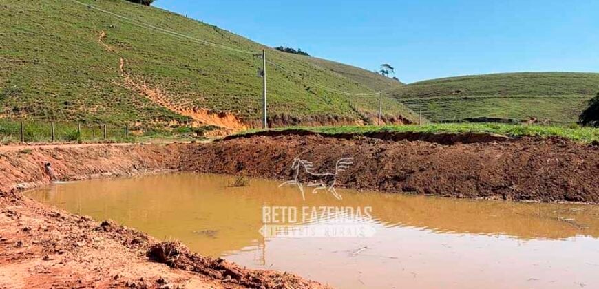 Venda de Fazenda 30 Alqueires Infraestrutura Completa na Pecuária | Sta. Maria Madalena /RJ
