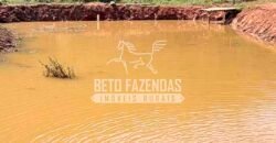 Venda de Fazenda 30 Alqueires Infraestrutura Completa na Pecuária | Sta. Maria Madalena /RJ