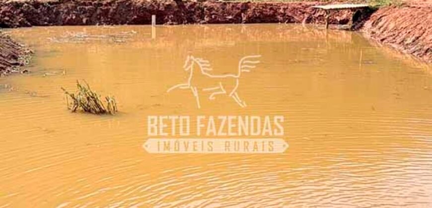 Venda de Fazenda 30 Alqueires Infraestrutura Completa na Pecuária | Sta. Maria Madalena /RJ
