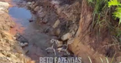 Venda de Fazenda 30 Alqueires Infraestrutura Completa na Pecuária | Sta. Maria Madalena /RJ