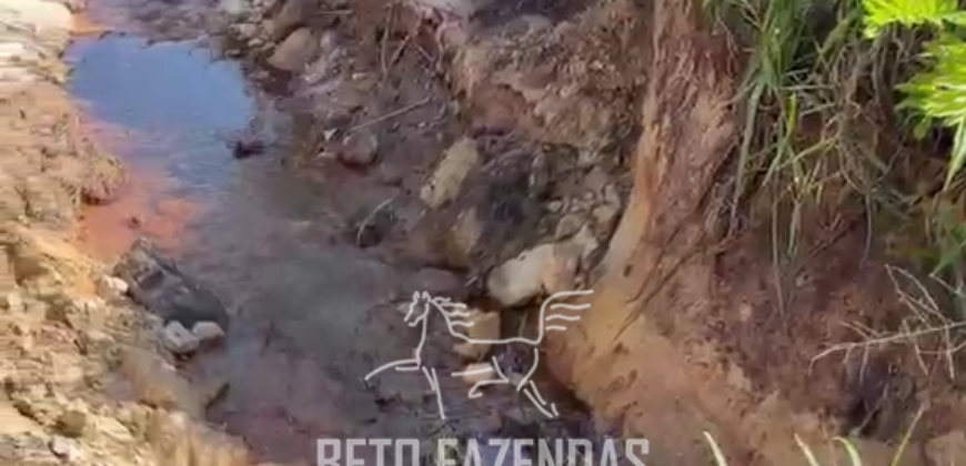 Venda de Fazenda 30 Alqueires Infraestrutura Completa na Pecuária | Sta. Maria Madalena /RJ