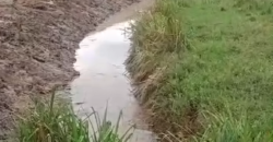 Venda de Fazenda 30 Alqueires Infraestrutura Completa na Pecuária | Sta. Maria Madalena /RJ