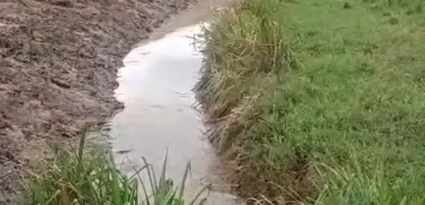 Venda de Fazenda 30 Alqueires Infraestrutura Completa na Pecuária | Sta. Maria Madalena /RJ