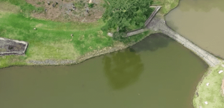 Chácara à Vendas 10 Hectares Lazer Completo e Pista de Carts Coberta | Guarulhos/SP