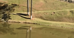 Chácara à Vendas 10 Hectares Lazer Completo e Pista de Carts Coberta | Guarulhos/SP