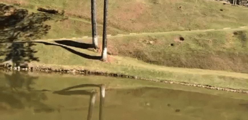 Chácara à Vendas 10 Hectares Lazer Completo e Pista de Carts Coberta | Guarulhos/SP