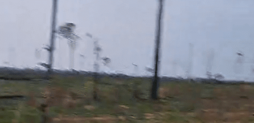 Fazenda Ótimo Valor à Venda Oportunidade com 1.500 hectares para Pecuária | Novo Progresso/PA Fazenda Ótimo Valor à Venda Oportunidade com 1.500 hectares para Pecuária | Novo Progresso/PA