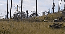 Fazenda Ótimo Valor à Venda Oportunidade com 1.500 hectares para Pecuária | Novo Progresso/PA Fazenda Ótimo Valor à Venda Oportunidade com 1.500 hectares para Pecuária | Novo Progresso/PA