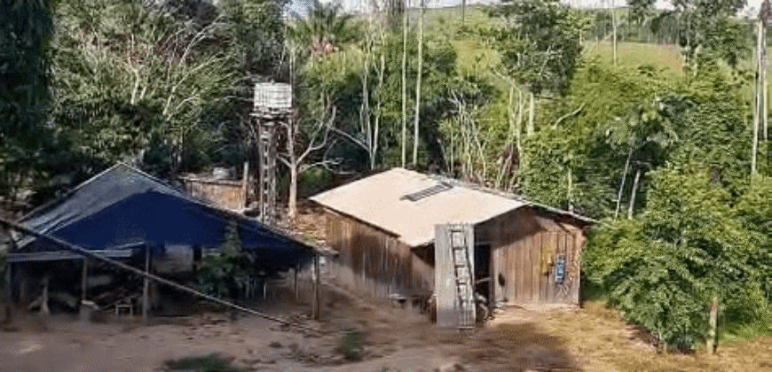 Fazenda Ótimo Valor à Venda Oportunidade com 1.500 hectares para Pecuária | Novo Progresso/PA Fazenda Ótimo Valor à Venda Oportunidade com 1.500 hectares para Pecuária | Novo Progresso/PA