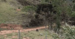 Fazenda Histórica à Venda 45 Alqueires Sede Colonial | Valença/RJ