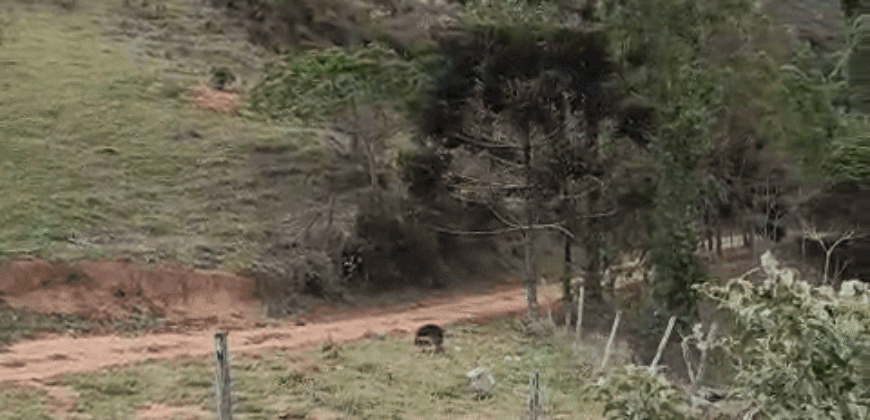 Fazenda Histórica à Venda 45 Alqueires Sede Colonial | Valença/RJ