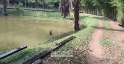 Fazenda Histórica à Venda 45 Alqueires Sede Colonial | Valença/RJ