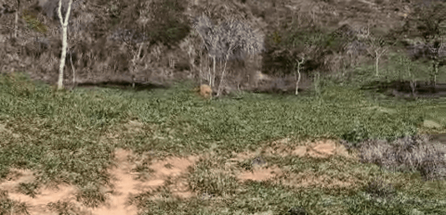 Fazenda Histórica à Venda 45 Alqueires Sede Colonial | Valença/RJ