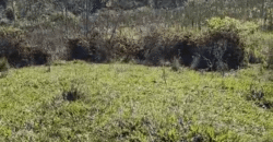 Fazenda Histórica à Venda 45 Alqueires Sede Colonial | Valença/RJ