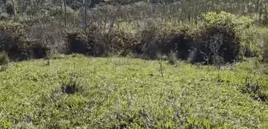 Fazenda Histórica à Venda 45 Alqueires Sede Colonial | Valença/RJ