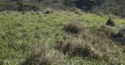 Fazenda Histórica à Venda 45 Alqueires Sede Colonial | Valença/RJ