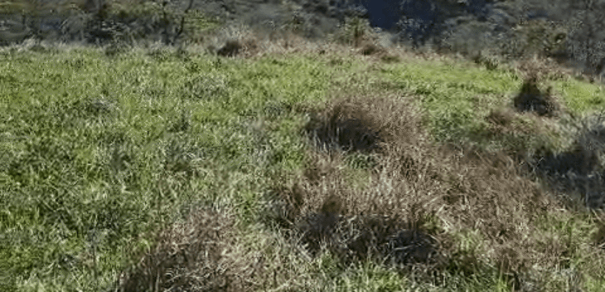 Fazenda Histórica à Venda 45 Alqueires Sede Colonial | Valença/RJ