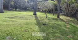 Fazenda Histórica à Venda 45 Alqueires Sede Colonial | Valença/RJ