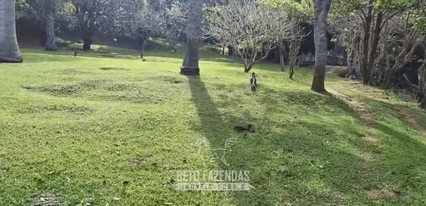 Fazenda Histórica à Venda 45 Alqueires Sede Colonial | Valença/RJ