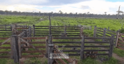 Fazenda à Venda 162 alqueires Pecuária Infraestrutura Completa | Pacajá/ PA Fazenda à Venda 162 alqueires Pecuária Infraestrutura Completa | Pacajá/ PA