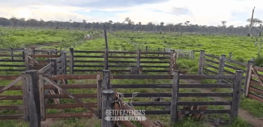 Fazenda à Venda 162 alqueires Pecuária Infraestrutura Completa | Pacajá/ PA Fazenda à Venda 162 alqueires Pecuária Infraestrutura Completa | Pacajá/ PA