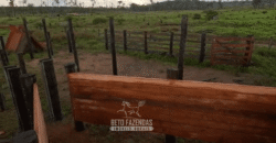 Fazenda à Venda 162 alqueires Pecuária Infraestrutura Completa | Pacajá/ PA Fazenda à Venda 162 alqueires Pecuária Infraestrutura Completa | Pacajá/ PA