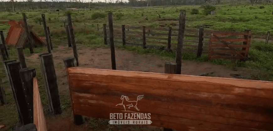 Fazenda à Venda 162 alqueires Pecuária Infraestrutura Completa | Pacajá/ PA Fazenda à Venda 162 alqueires Pecuária Infraestrutura Completa | Pacajá/ PA