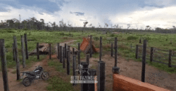 Fazenda à Venda 162 alqueires Pecuária Infraestrutura Completa | Pacajá/ PA Fazenda à Venda 162 alqueires Pecuária Infraestrutura Completa | Pacajá/ PA