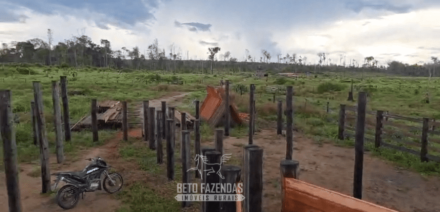 Fazenda à Venda 162 alqueires Pecuária Infraestrutura Completa | Pacajá/ PA Fazenda à Venda 162 alqueires Pecuária Infraestrutura Completa | Pacajá/ PA