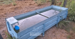 Fazenda à Venda 162 alqueires Pecuária Infraestrutura Completa | Pacajá/ PA Fazenda à Venda 162 alqueires Pecuária Infraestrutura Completa | Pacajá/ PA