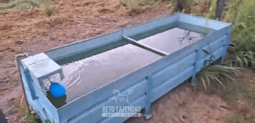 Fazenda à Venda 162 alqueires Pecuária Infraestrutura Completa | Pacajá/ PA Fazenda à Venda 162 alqueires Pecuária Infraestrutura Completa | Pacajá/ PA