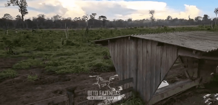 Fazenda à Venda 162 alqueires Pecuária Infraestrutura Completa | Pacajá/ PA Fazenda à Venda 162 alqueires Pecuária Infraestrutura Completa | Pacajá/ PA