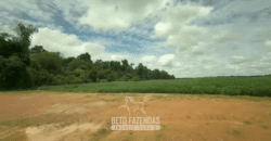 Fazenda à Venda 23.000 hectares Lavoura, Pecuária e Credito de Carbono | Paragominas/PA