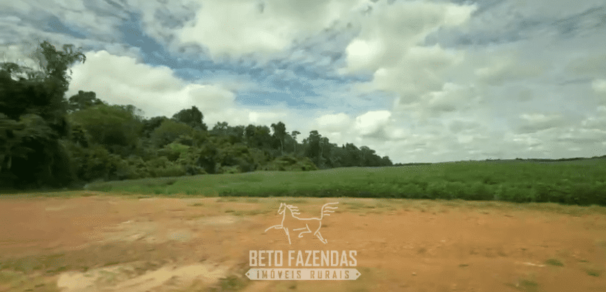 Fazenda à Venda 23.000 hectares Lavoura, Pecuária e Credito de Carbono | Paragominas/PA